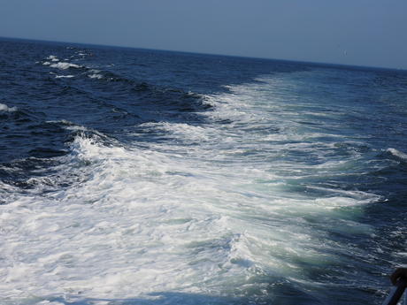 Wake from the boat #2