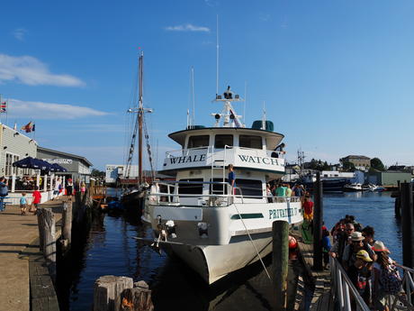 Seven Seas Privateer IV