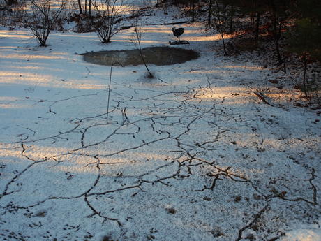 Winter snow patterns #2