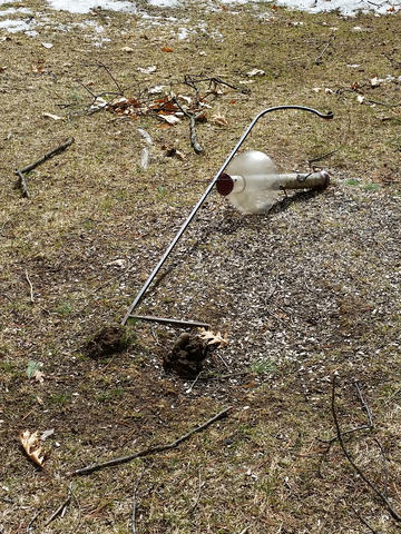 The squirrels have won this battle against the feeder.