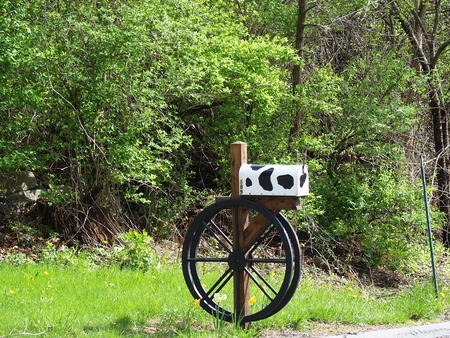 Cow mailbox