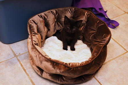 This is my frowny face