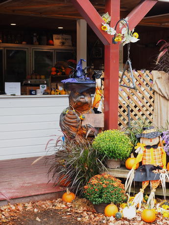 Fall at Springdell Farms