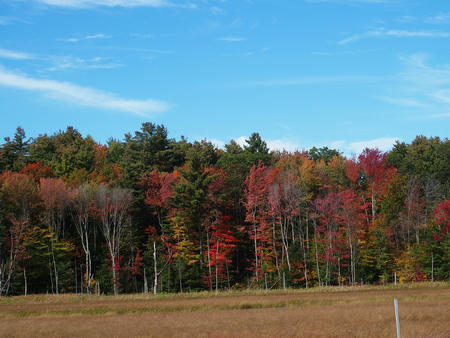 New Hampshire fall