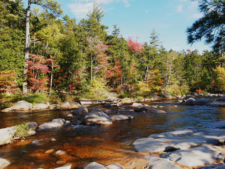 Fall on the Kancamagus highway #3