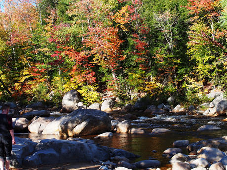 Fall on the Kancamagus highway #4