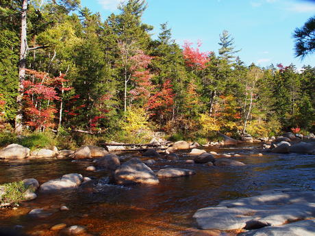 Fall on the Kancamagus highway #5
