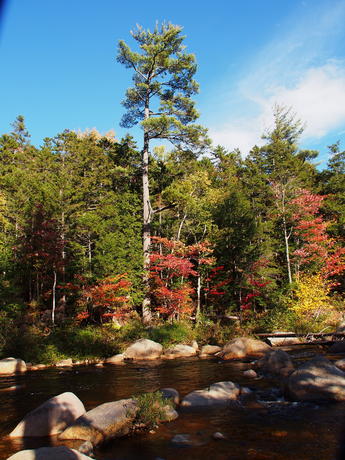 Fall on the Kancamagus highway #6