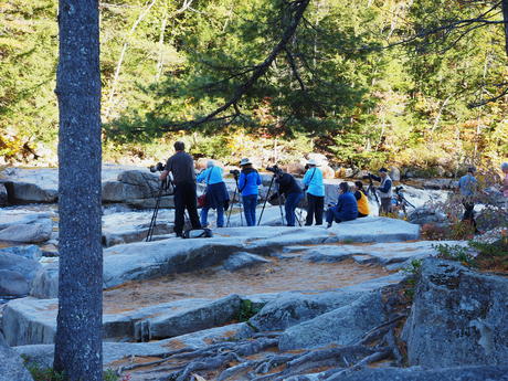 Capturing the fall #3