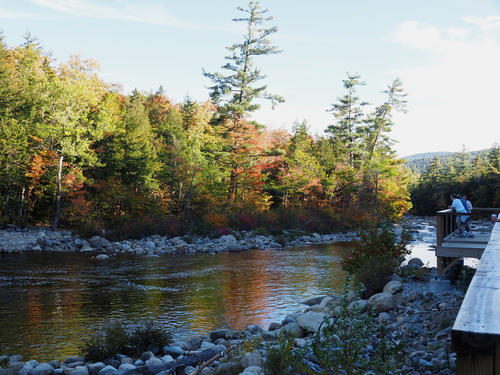 Contemplating fall #2