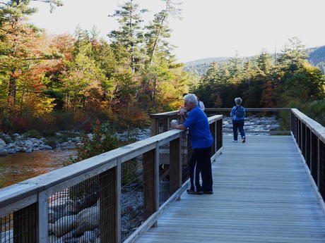 Contemplating fall #3