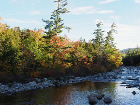 Fall on the Kancamagus highway #9