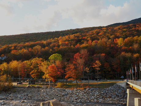 Fall at Loon Mountain #2