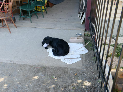 Waiting while the master shops