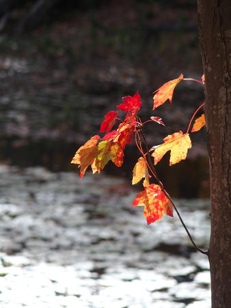 Going from green to red