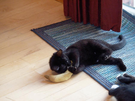 It is mine, mine, mine