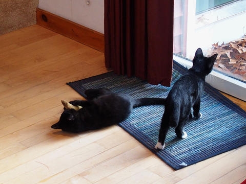 Hmmm, the outdoors looks interesting