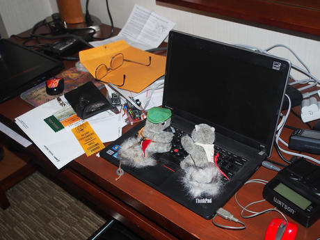 The squirrels are hacking into my computer