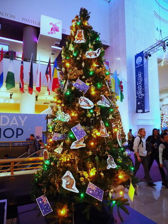 Australia Christmas tree