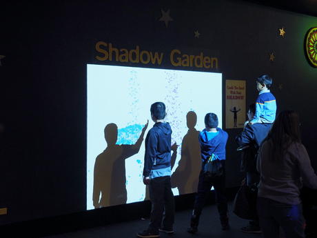 Shadow Garden