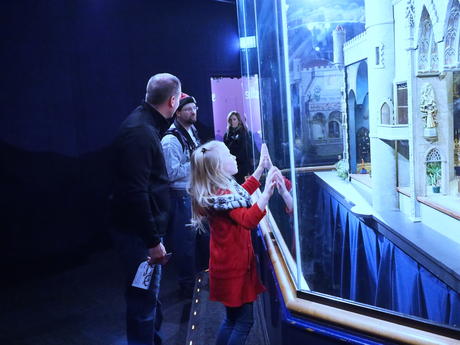 Fairy castle admirer