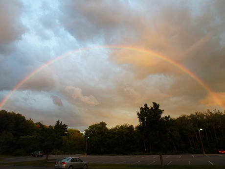 Rainbow #2