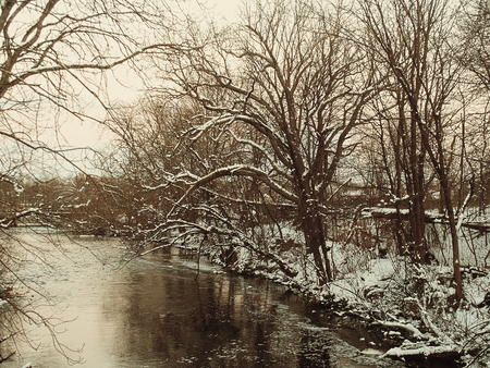 Sepia winter