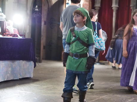 Link came to the faire