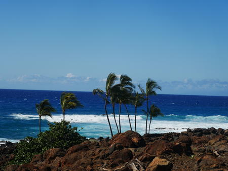 Pacific ocean at Lapakahi #8
