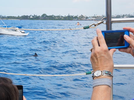 Capturing the spinner dolphin