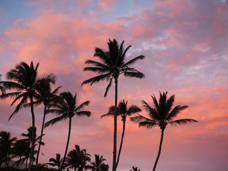 Sunset at the luau