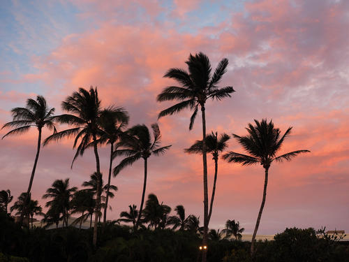 Sunset at the luau #2