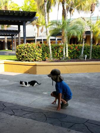 Stalking the bookstore cat