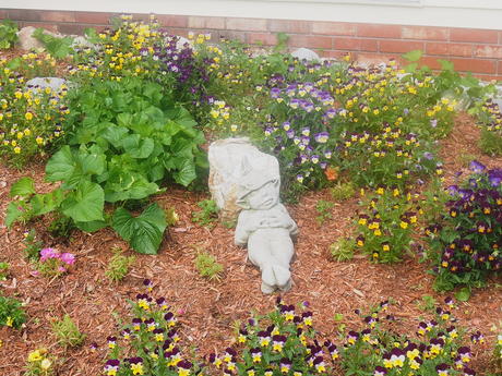 Johnny Jump Ups and statue