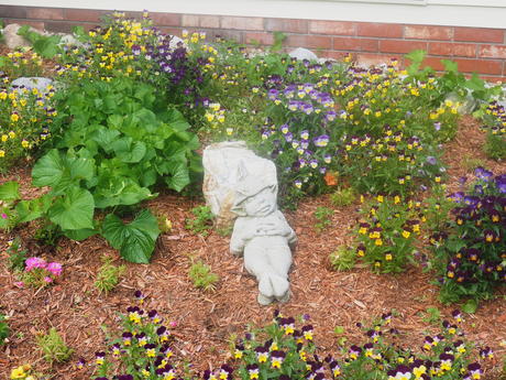 Johnny Jump Ups and statue #2