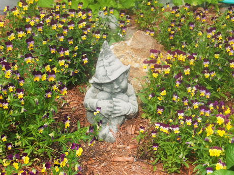 Johnny Jump Ups and statue #4