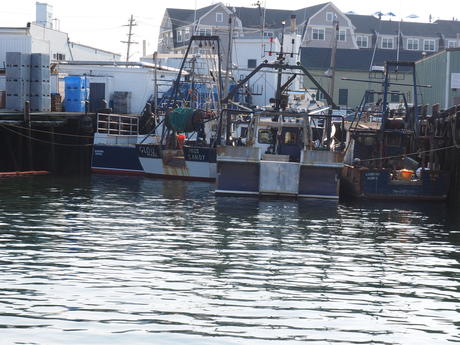 Gloucester boats