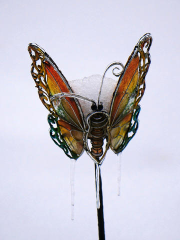 Iron butterfly in winter