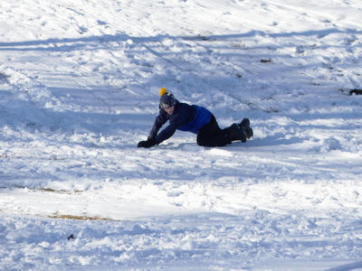 Somebody is missing a sled