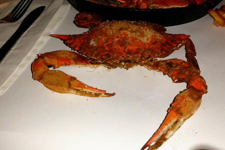 Maryland style steamed crab