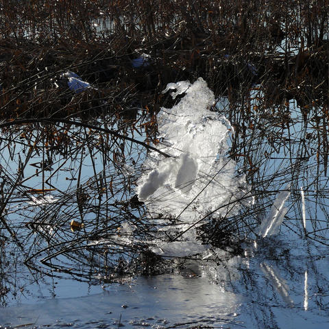 Ice chunk