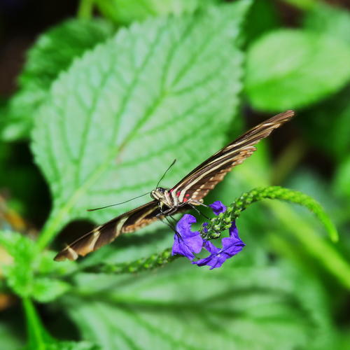 Roger, ready for takeoff