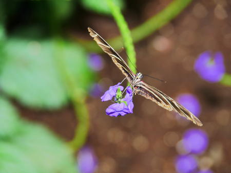 Roger, ready for takeoff #2