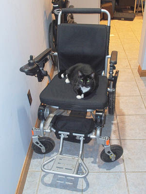 Queen of the wheel chair