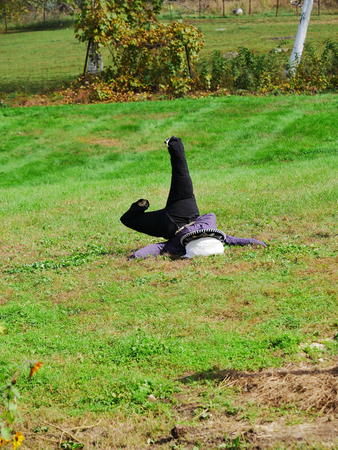 Springdell scarecrow contest