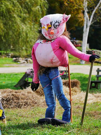 Springdell scarecrow contest #6