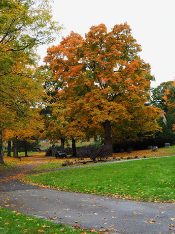Andover West Parish Cemetery in fall #12