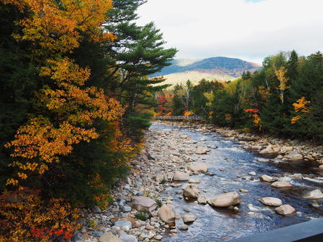 Fall on the Kancamagus Highway #2