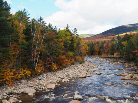 Fall on the Kancamagus Highway #4