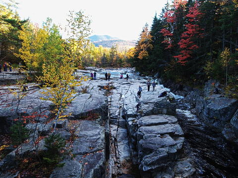 Enjoying the fall #2